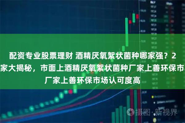 配资专业股票理财 酒精厌氧絮状菌种哪家强？2026实力厂家大揭秘，市面上酒精厌氧絮状菌种厂家上善环保市场认可度高