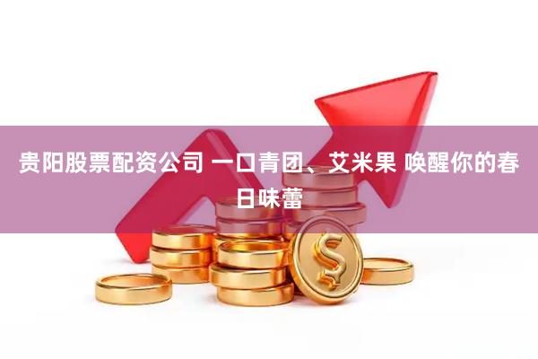 贵阳股票配资公司 一口青团、艾米果 唤醒你的春日味蕾